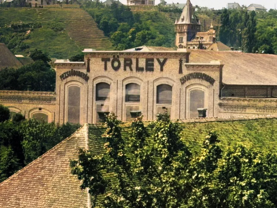 Négy érdekesség, amit nem tudtál a Törleyről