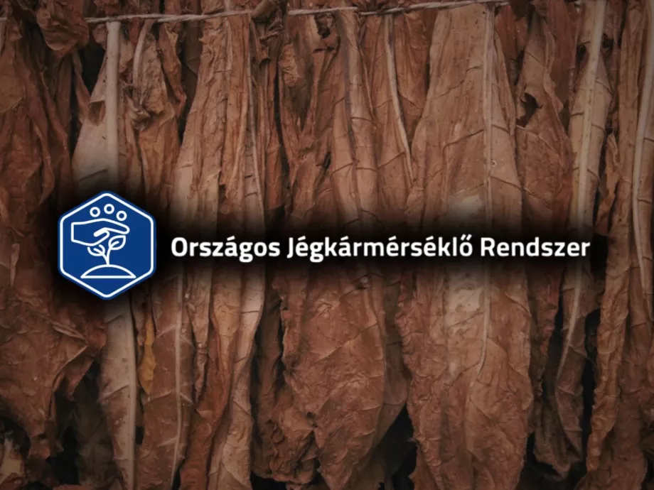 Nincs pénz a jégkármérséklő-rendszer megfelelő működtetésére