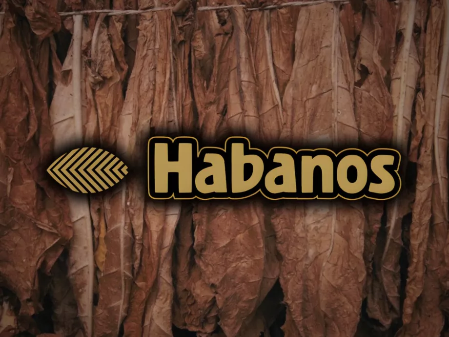 Új operatív marketingigazgató a Habanosnál
