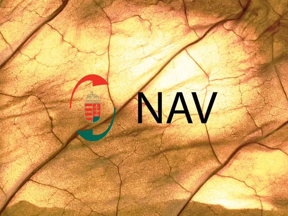 Újabb vezetőváltás a NAV-nál