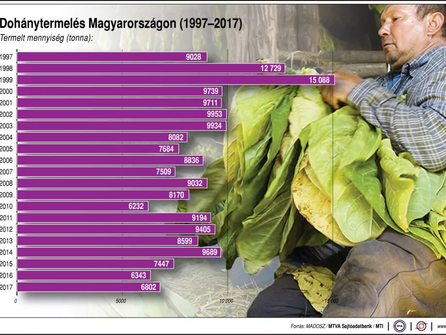 Nőtt a dohány termőterülete és termésátlaga